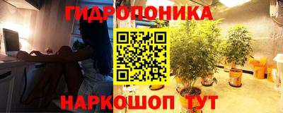 дурь Заводоуковск
