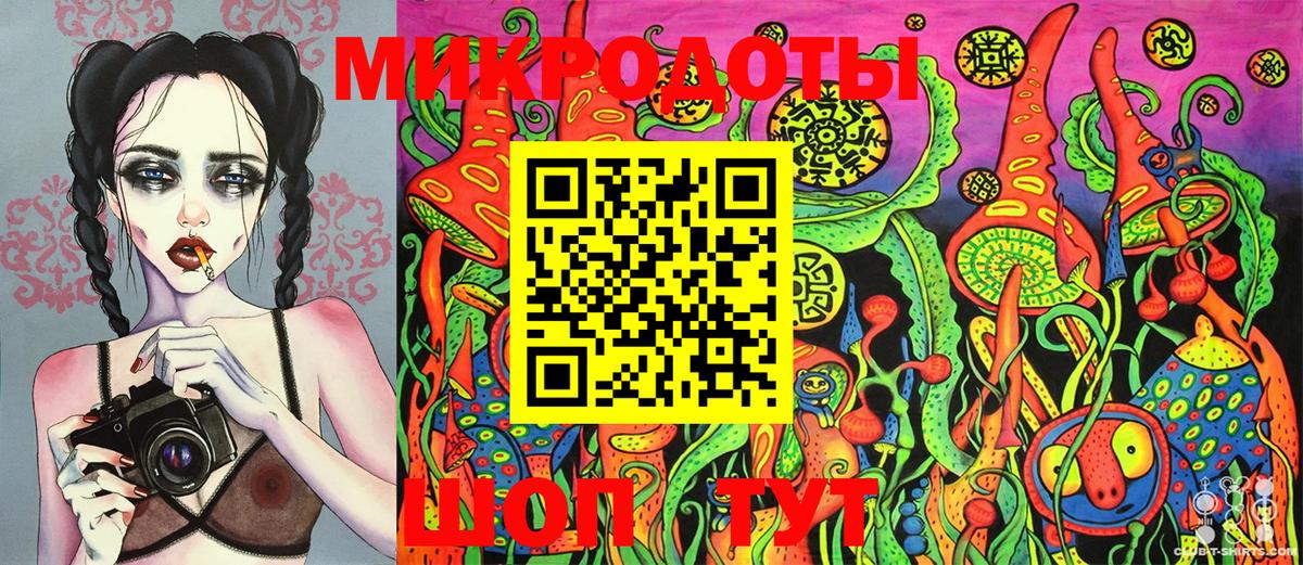 Галлюциногенные грибы Psilocybe Кызыл