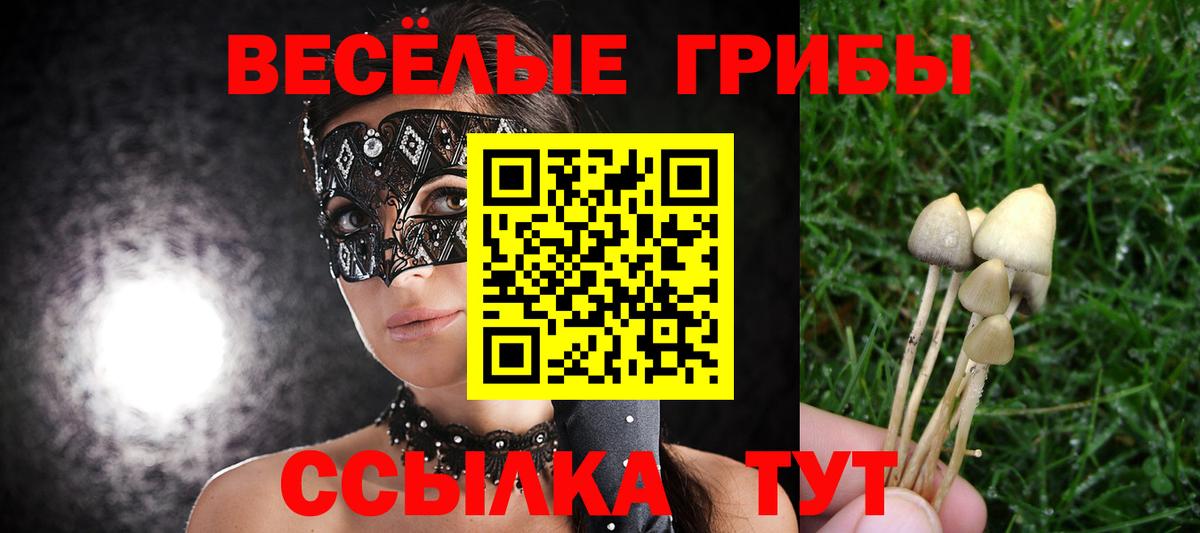 Галлюциногенные грибы Cubensis  Вход с VPN  Кызыл 